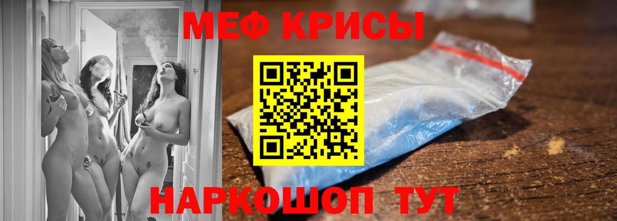 МЕФ  Новозыбков