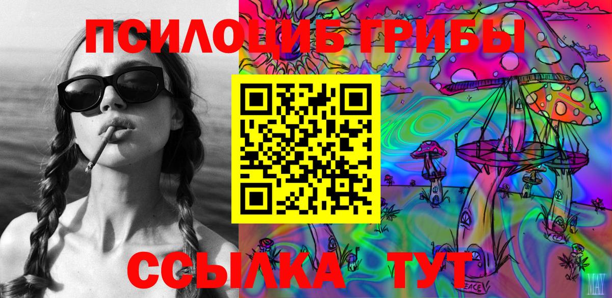 Новозыбков  где купить наркоту  Вход с VPN  Псилоцибиновые грибы Magic Shrooms 