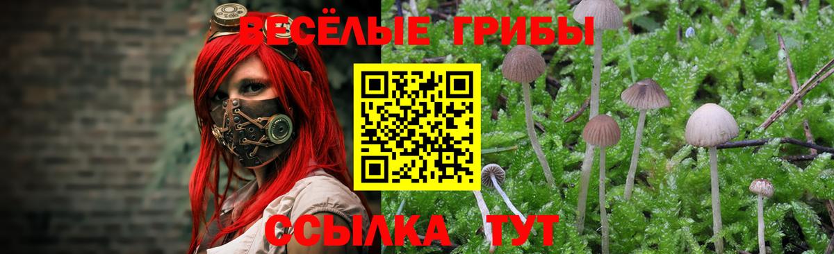 Псилоцибиновые грибы ЛСД Новозыбков