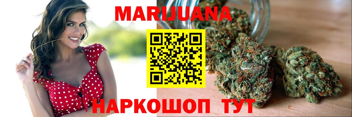 Шишки марихуана тримм  Вход с VPN  Бошки марихуана Amnesia  Новозыбков  Бошки Шишки план 